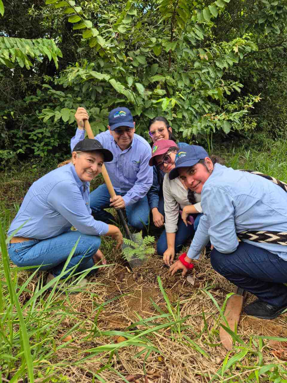 Campaña de reforestación
