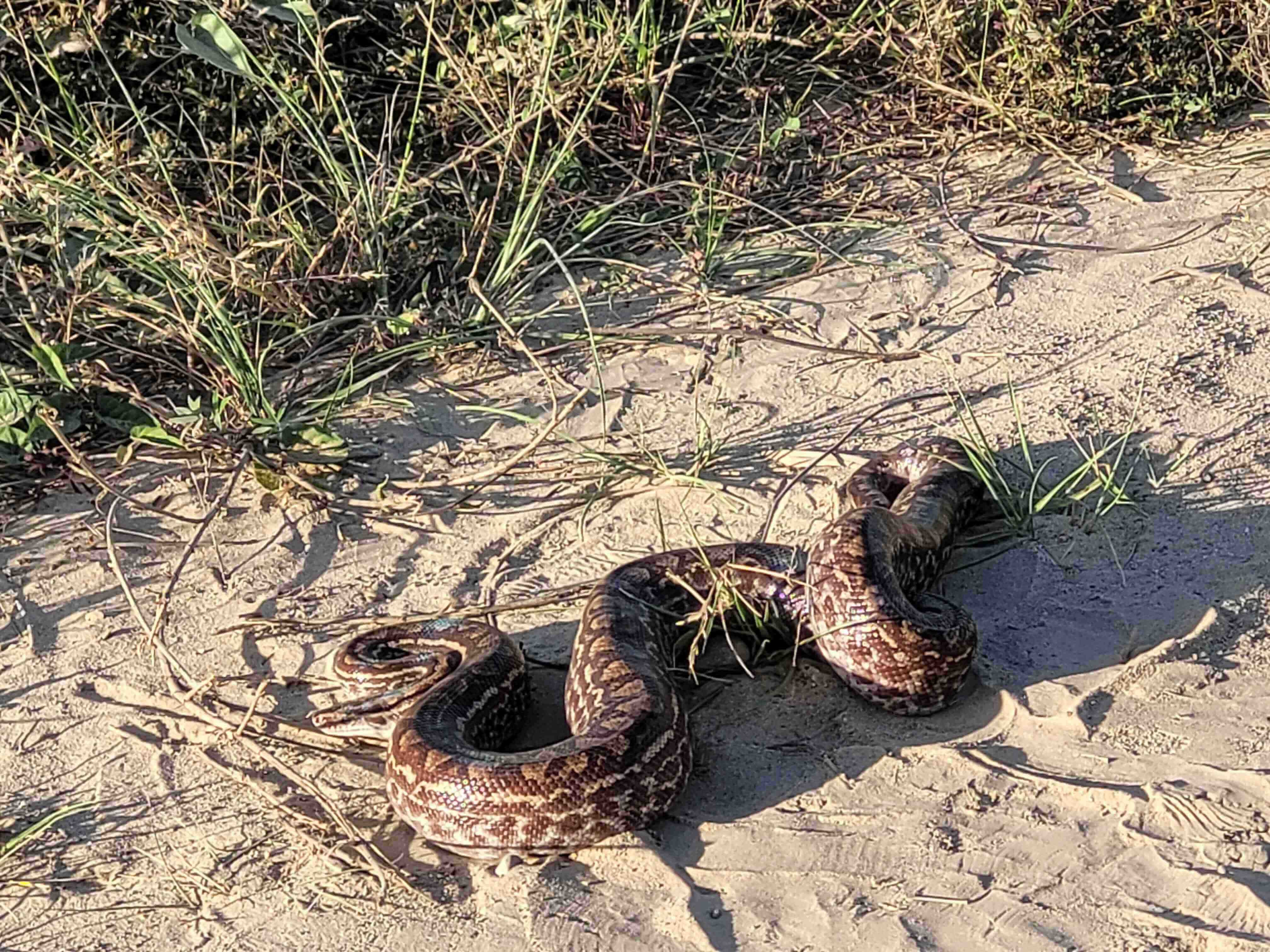 Autor: Ing.Karen Arevalo