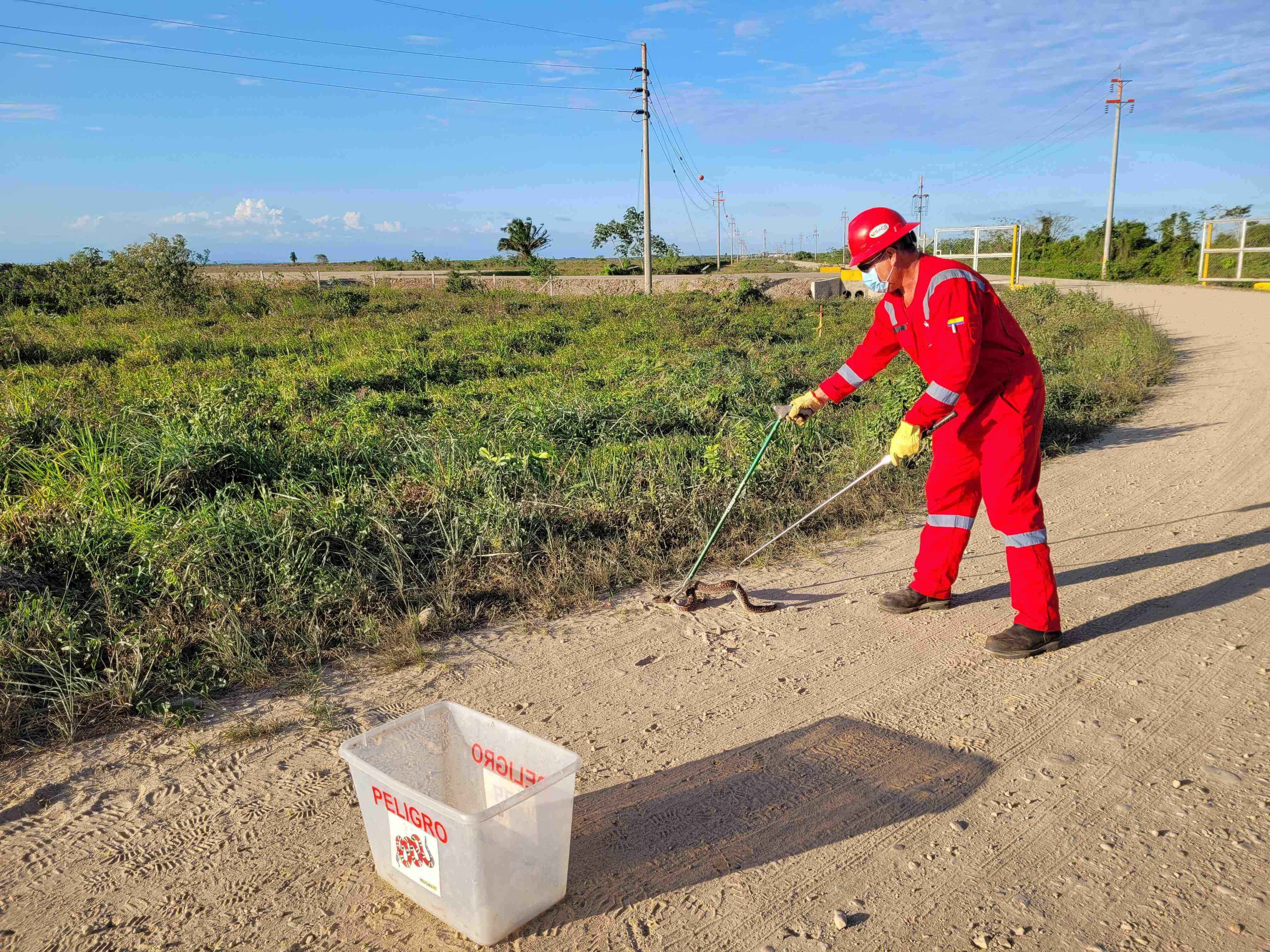 Autor: Ing.Karen Arevalo